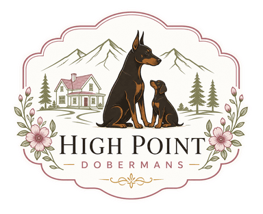 High Point Dobermans